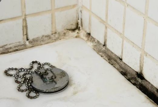 badkamer schimmel verwijderen bestrijden en behandelen