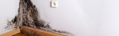 blijvende Schimmels blijvend in huis