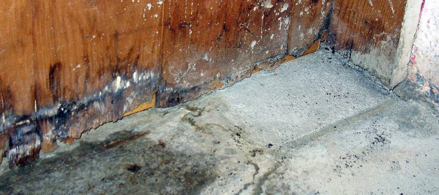 drogen van betonnen vloeren in overstromingssituaties