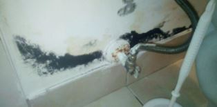 zwarte schimmel op de muur achter het toilet