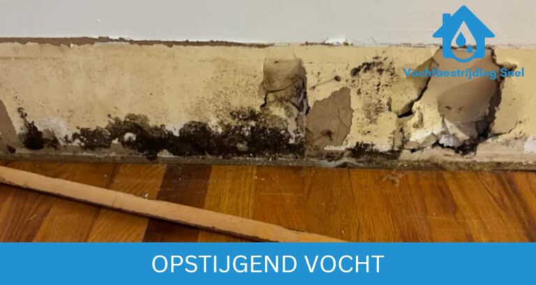 Opstijgend vocht: prijs 2025 en behandelingen vergelijken