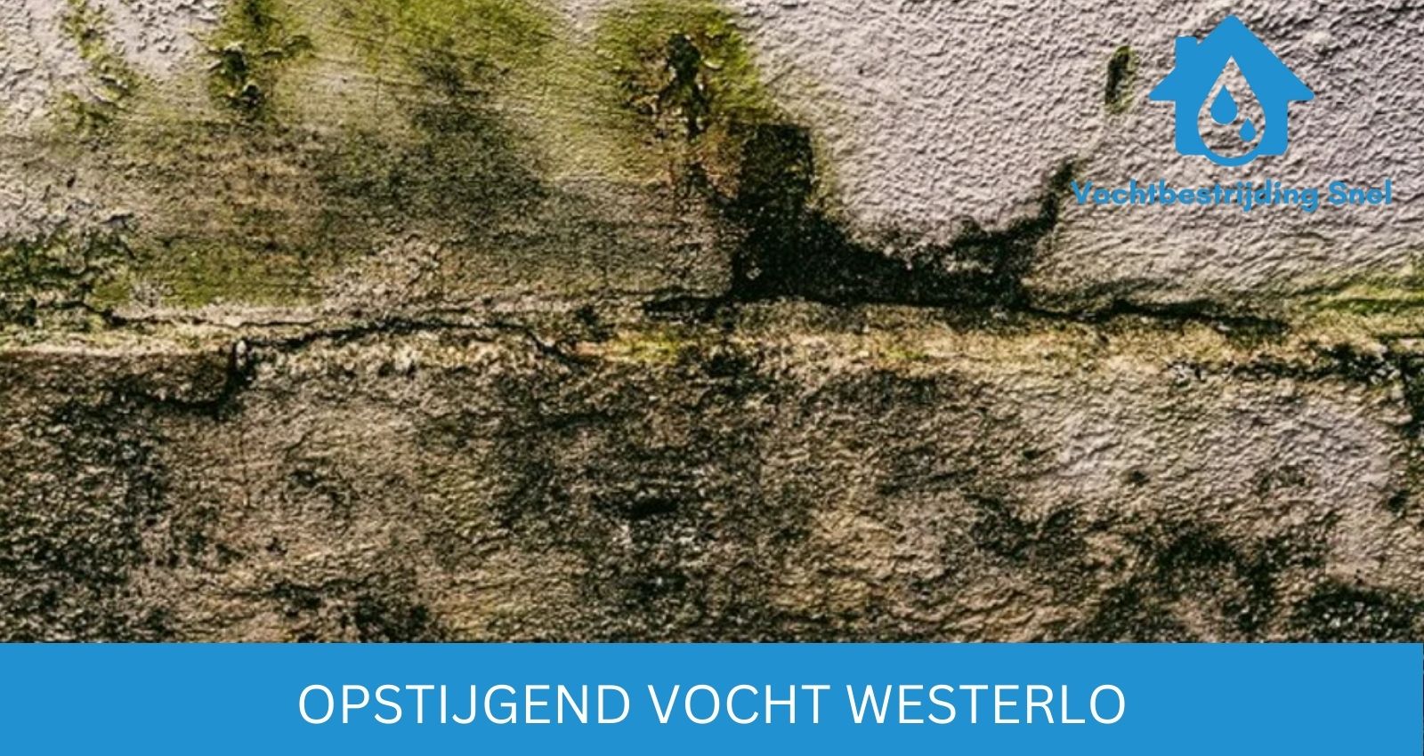 Opstijgend vocht Westerlo