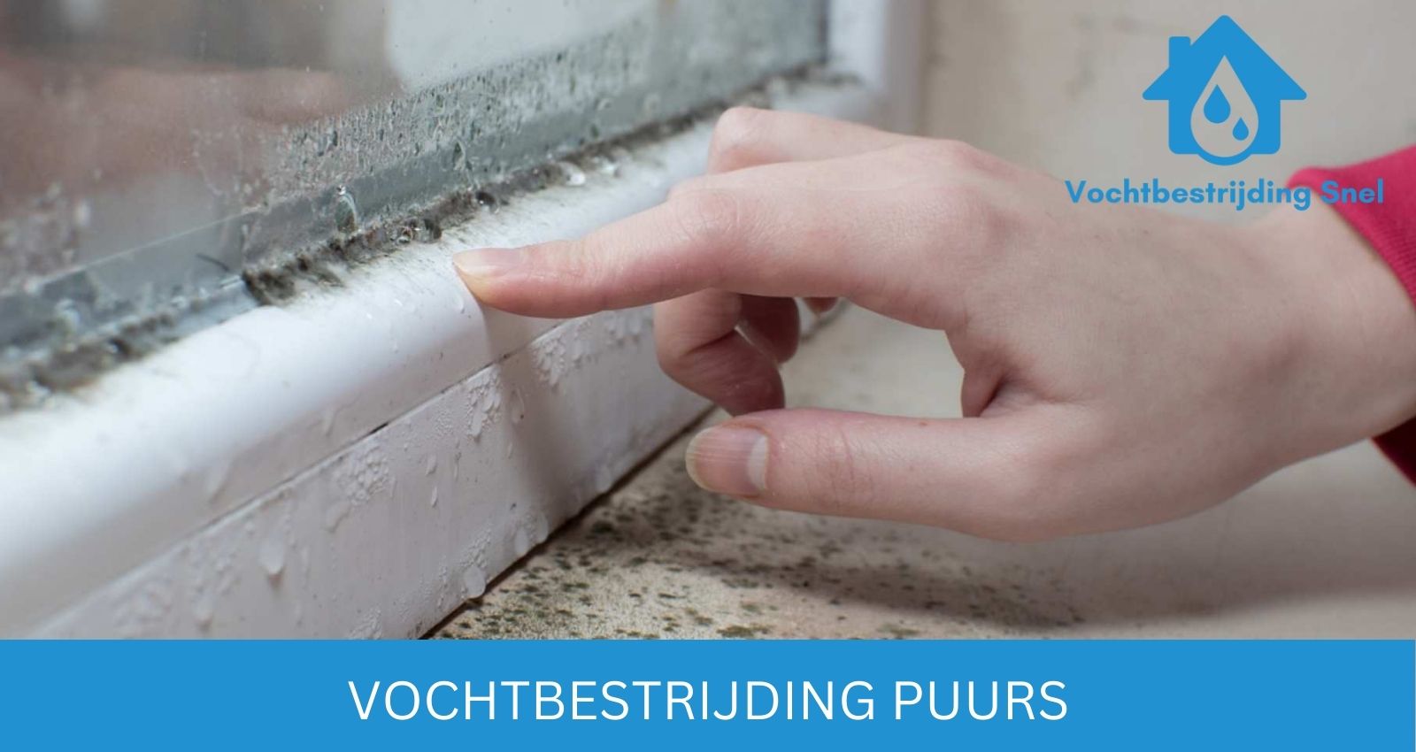 Vochtbestrijding Puurs