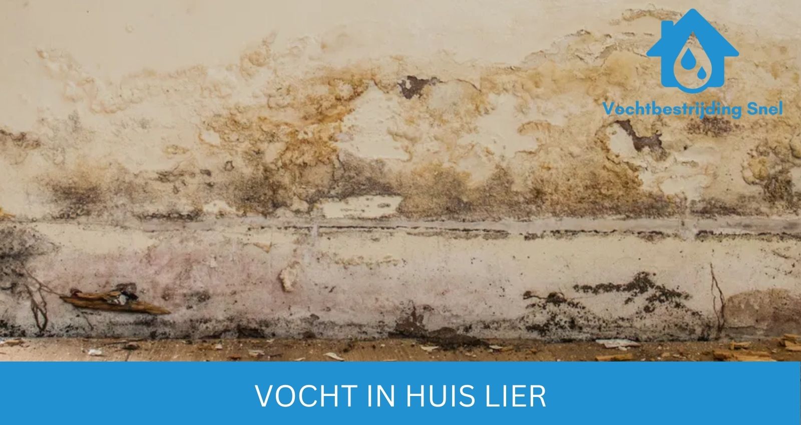 vocht in huis Lier